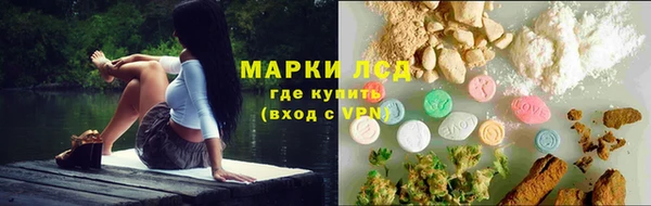 гидропоника Алзамай