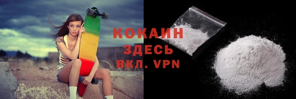 соль ск Абаза