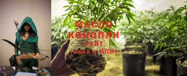 соль ск Абаза