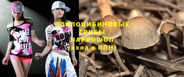 соль ск Абаза